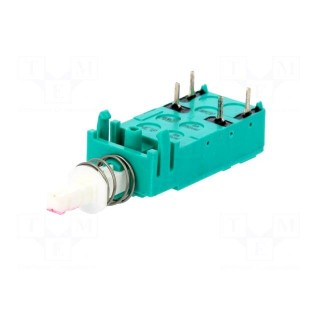 Switch: push-button | Pos: 2 | DPST | 6A/250VAC | 0.5A/24VDC | OFF-ON