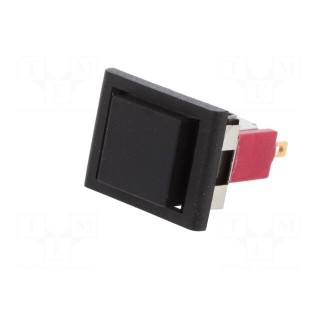 Switch: push-button | Pos: 2 | SPDT | 1A/120VAC | 1A/28VDC | ON-(ON)