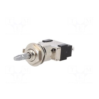 Switch: push-button | Pos: 2 | SPDT | 6A/125VAC | 6A/6VDC | ON-ON | screw
