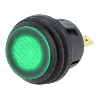 Switch: push-button | Pos: 2 | SPST-NO | 6A/250VAC | OFF-ON | green | IP65