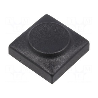 Button | rectangular | black | polyamide | 18.3x18.3mm