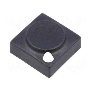 Button | rectangular | black | polyamide | 15.5x15.5mm