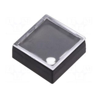 Button | rectangular | Colour: colourless | Mat: ABS | 18.3x18.3mm