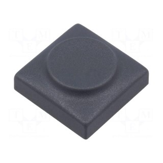 Button | rectangular | grey | polyamide | 18.3x18.3mm