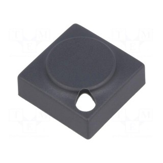 Button | rectangular | grey | polyamide | 15.5x15.5mm