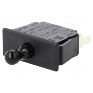 Switch: door | Pos: 2 | DPDT | 10A/125VAC | black | Mounting: on panel