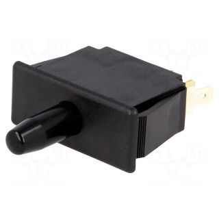 Switch: door | Pos: 2 | DPDT | 10A/250VAC | black | Mounting: on panel
