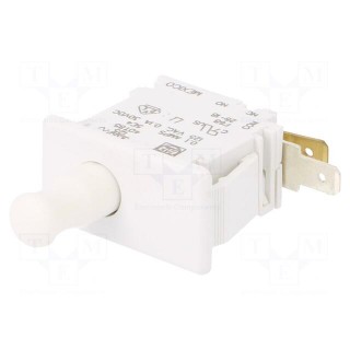 Switch: door | Pos: 2 | SPDT | 0.1A | Leads: connectors 4,8x0,8mm