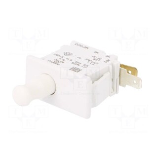 Switch: door | Pos: 2 | SPDT | 0.1A | Leads: 4,8x0,8mm connectors
