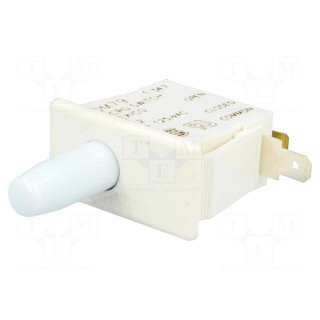 Switch: door | Pos: 2 | SPDT | 10A/250VAC | white | on panel