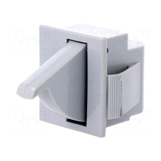 Switch: door | Pos: 2 | SPDT | 5A/250VAC | Leads: connectors 4,8x0,5mm