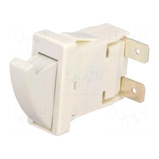 Switch: door | Pos: 2 | SPST | Leads: 6,3x0,8mm connectors | Body: white