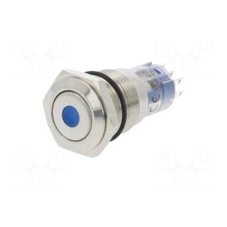Switch: vandal resistant | DPDT | 3A/250VAC | IP67 | ON-(ON) | blue