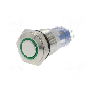 Switch: vandal resistant | DPDT | 3A/250VAC | IP67 | ON-(ON) | green