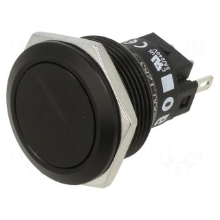 Switch: vandal resistant | Pos: 2 | SPDT | 3A/240VAC | 3A/240VDC | ON-ON