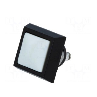 Switch: vandal resistant | Pos: 2 | SPST-NO | 2A/36VDC | IP65 | OFF-(ON)