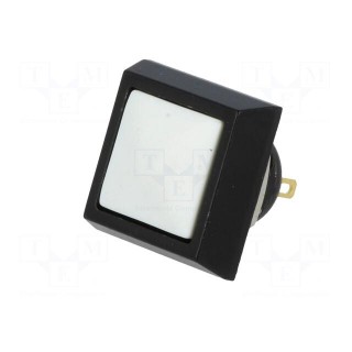 Switch: vandal resistant | Pos: 2 | SPST-NO | 2A/36VDC | IP65 | OFF-(ON)