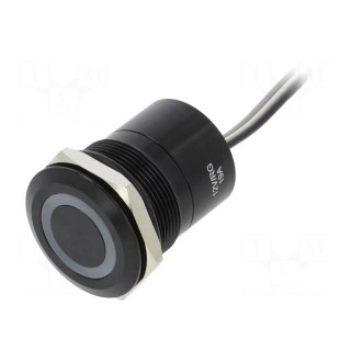 Switch: capacitive | Pos: 2 | SPST-NC | 0.01A/12VDC | IP68 | ON-OFF | MC