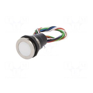 Switch: capacitive | Pos: 2 | SPST-NO | 0.1A/42VAC | 0.1A/60VDC | IP67