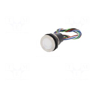 Switch: capacitive | Pos: 2 | SPST | 0.1A/42VAC | 0.1A/60VDC | IP67 | RGB