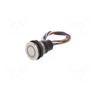 Switch: capacitive | Pos: 2 | SPST | 0.1A/42VAC | 0.1A/60VDC | IP67 | RGB