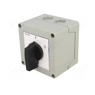 Switch: cam switch | Stabl.pos: 2 | 16A | 0-1 | Mounting: in housing