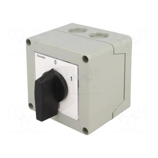 Switch: cam switch | Stabl.pos: 2 | 16A | 0-1 | Mounting: in housing