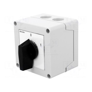 Switch: cam switch | Stabl.pos: 2 | 20A | 0-1 | Mounting: in housing