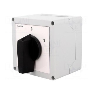 Switch: cam switch | Stabl.pos: 2 | 32A | 0-1 | Mounting: in housing