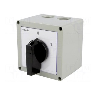 Switch: cam switch | Stabl.pos: 2 | 40A | 0-1 | Mounting: in housing