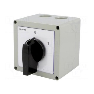 Switch: cam switch | Stabl.pos: 2 | 40A | 0-1 | Mounting: in housing