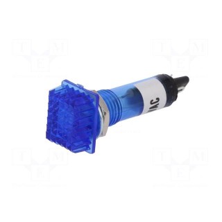 Indicator: with FLUO neon lamp | prominent | blue | 230VAC | plastic