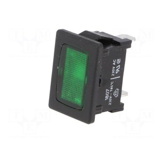 Indicator: with neon lamp | flat | green | 230VAC | plastic