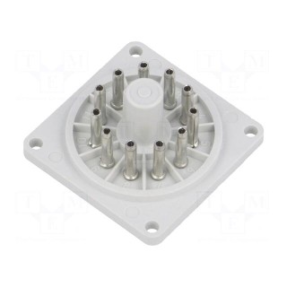 Socket | PIN: 11 | Series: R15 | Electr.connect: round socket | undecal