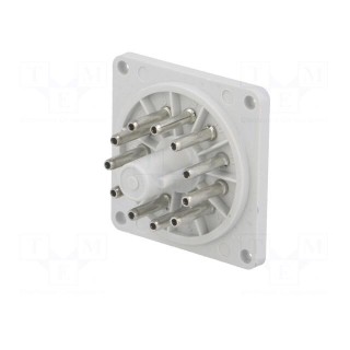 Socket | PIN: 11 | Series: R15 | Electr.connect: round socket | undecal