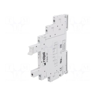 Socket | PIN: 5 | 6A | 250VAC | Mounting: DIN | Leads: screw terminals