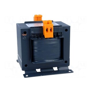 Transformer: mains | 250VA | 230VAC | 230V | Leads: terminal block