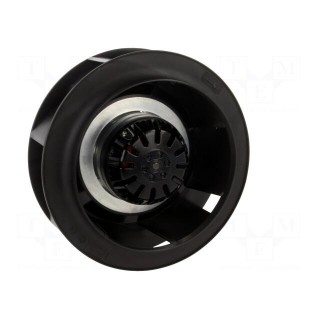 Fan: AC | radial | 230VAC | Ø175x70mm | 423.83m3/h | 60dBA | ball bearing