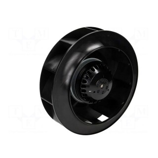 Fan: AC | radial | 230VAC | Ø220x71mm | 850m3/h | 65dBA | ball bearing