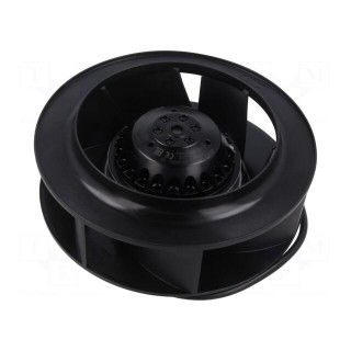 Fan: AC | radial | Ø190x68.5mm | 570m3/h | ball bearing | 2500rpm | IP44