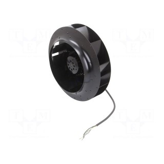 Fan: AC | radial | Ø280x125mm | 1000m3/h | ball bearing | 2700rpm | IP44
