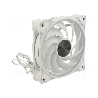 Fan: DC | axial | 12VDC | 120x120x25mm | 31.8dBA | HDB | 500÷2000rpm