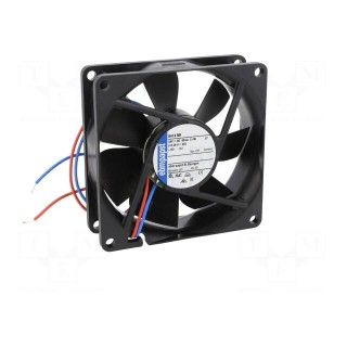 Fan: DC | axial | 24VDC | 80x80x25mm | 79m3/h | 37dBA | ball bearing