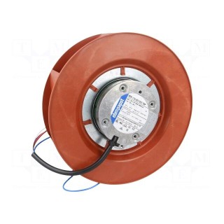 Fan: DC | radial | 48VDC | Ø175x69mm | 970m3/h | ball bearing | 5400rpm