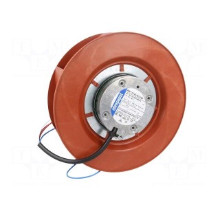 Fan: DC | radial | 48VDC | Ø175x69mm | 970m3/h | ball bearing | 5400rpm