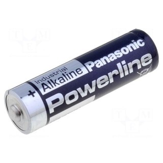 Battery: alkaline | 1.5V | AA | non-rechargeable