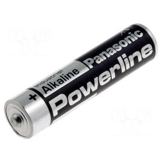 Battery: alkaline | 1.5V | AAA | non-rechargeable