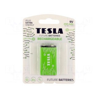 Re-battery: Ni-MH | 6F22 | 8.4V | 250mAh | blister | 1pcs.