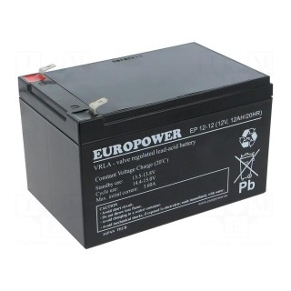 Re-battery: acid-lead | 12V | 12Ah | AGM | maintenance-free | EP