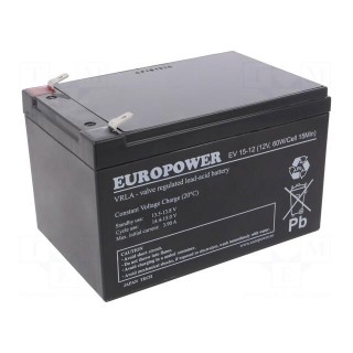 Re-battery: acid-lead | 12V | 13Ah | AGM | maintenance-free | EV